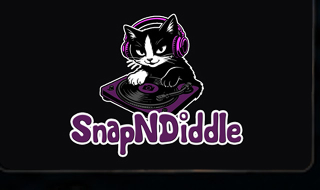 SnapNDiddle sample website